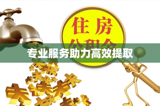 化州专业服务助力高效提取