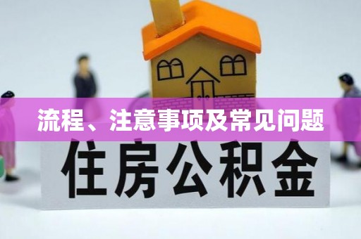 海宁流程、注意事项及常见问题